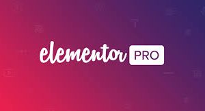 Elementor Pro